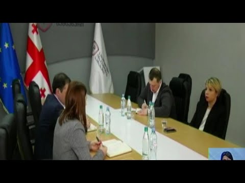 მოზარდის გარდაცვალების საქმე - შეხვედრა პარლამენტში